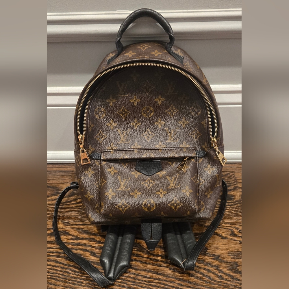 Authentic Louis Vuitton Palm Springs PM Backpack